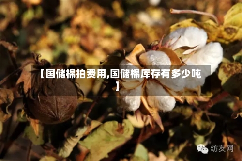 【国储棉拍费用,国储棉库存有多少吨】