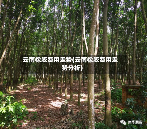 云南橡胶费用走势(云南橡胶费用走势分析)-第2张图片