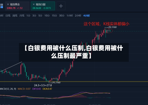 【白银费用被什么压制,白银费用被什么压制最严重】-第2张图片
