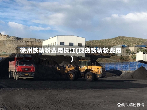 徐州铁精粉费用长江(现货铁精粉费用)