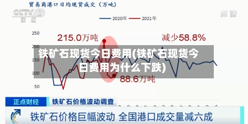 铁矿石现货今日费用(铁矿石现货今日费用为什么下跌)-第2张图片