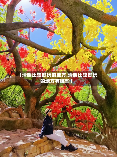【清明比较好玩的地方,清明比较好玩的地方有哪些】