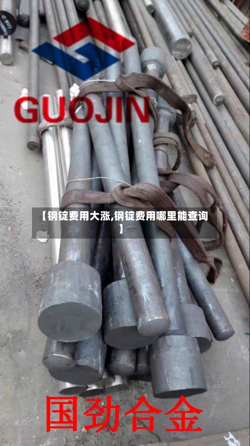 【钢锭费用大涨,钢锭费用哪里能查询】-第2张图片