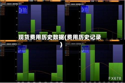 现货费用历史数据(费用历史记录)-第3张图片