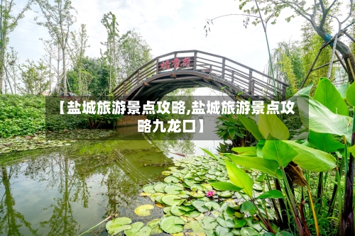【盐城旅游景点攻略,盐城旅游景点攻略九龙口】