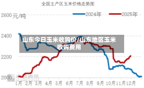 山东今日玉米收购价/山东地区玉米收购费用