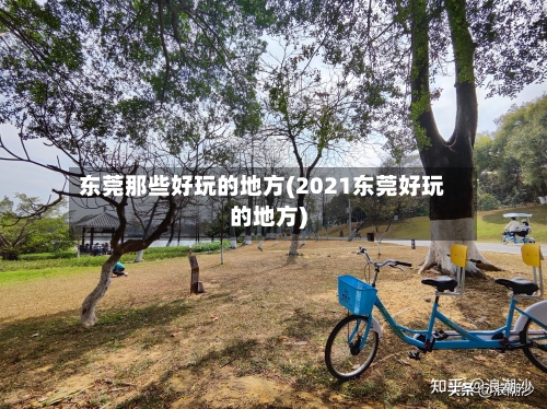 东莞那些好玩的地方(2021东莞好玩的地方)