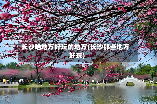 长沙啥地方好玩的地方(长沙那些地方好玩)-第3张图片