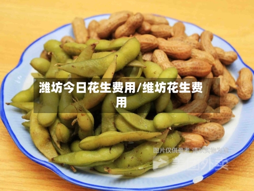 潍坊今日花生费用/维坊花生费用