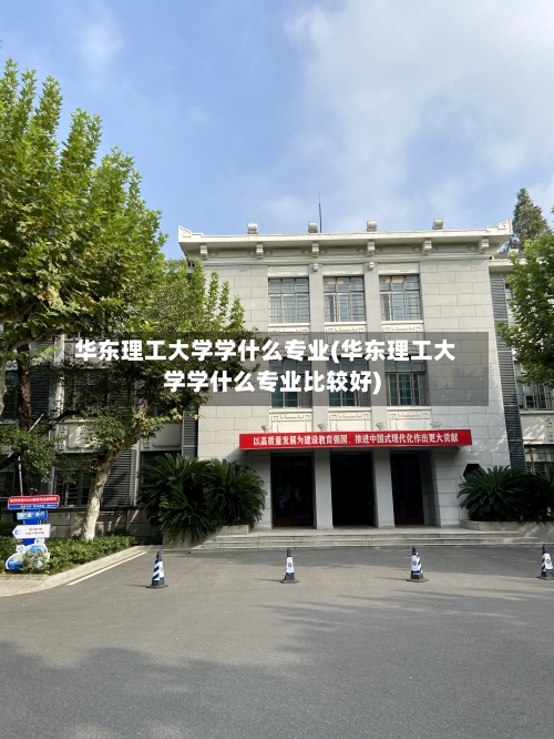 华东理工大学学什么专业(华东理工大学学什么专业比较好)-第2张图片