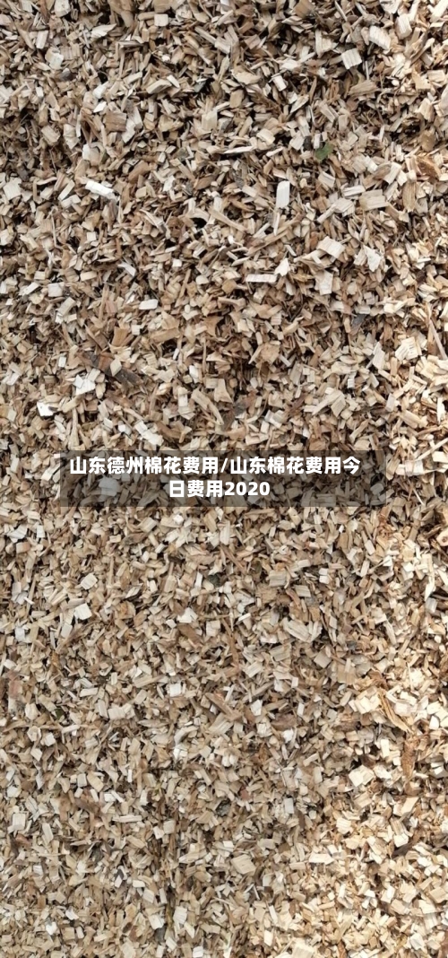 山东德州棉花费用/山东棉花费用今日费用2020-第2张图片