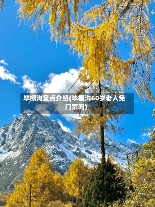 毕棚沟景点介绍(毕棚沟60岁老人免门票吗)
