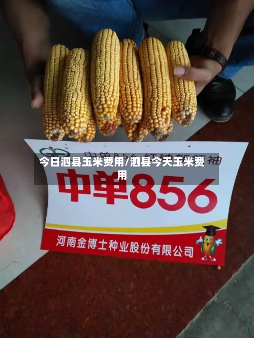 今日泗县玉米费用/泗县今天玉米费用-第2张图片