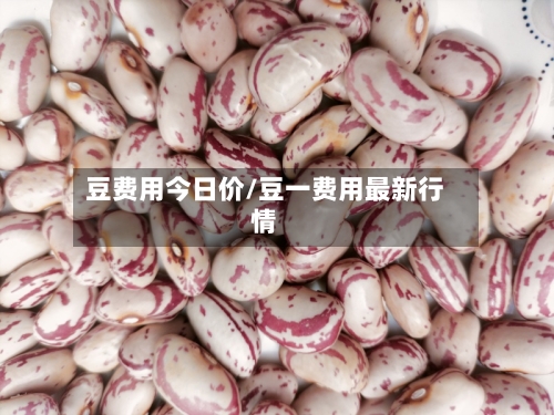 豆费用今日价/豆一费用最新行情