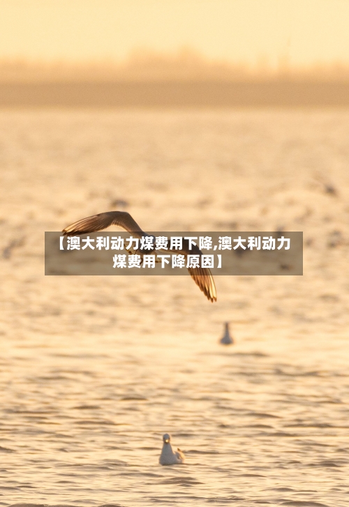 【澳大利动力煤费用下降,澳大利动力煤费用下降原因】