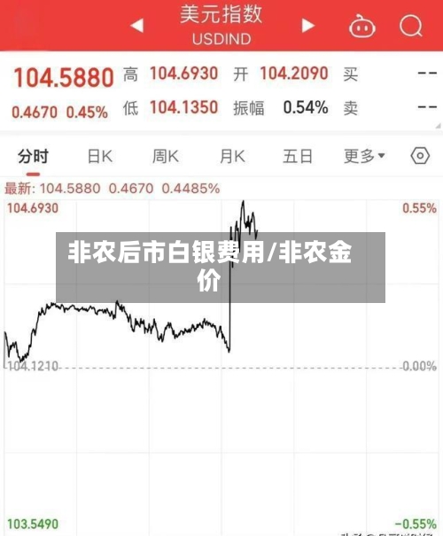 非农后市白银费用/非农金价-第3张图片