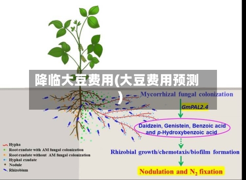 降临大豆费用(大豆费用预测)