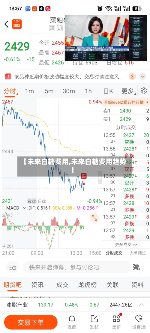 【未来白糖费用,未来白糖费用趋势】