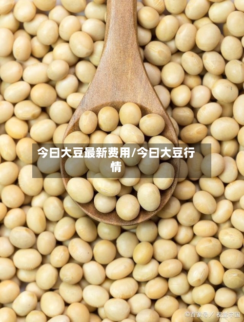 今曰大豆最新费用/今曰大豆行情