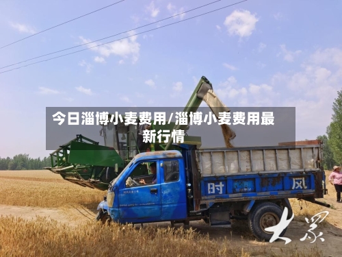 今日淄博小麦费用/淄博小麦费用最新行情-第2张图片