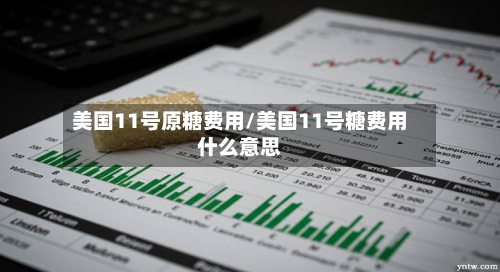 美国11号原糖费用/美国11号糖费用什么意思-第3张图片