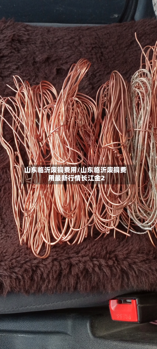 山东临沂废铜费用/山东临沂废铜费用最新行情长江金2