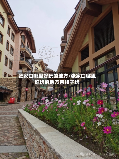 张家口哪里好玩的地方/张家口哪里好玩的地方带孩子玩-第2张图片