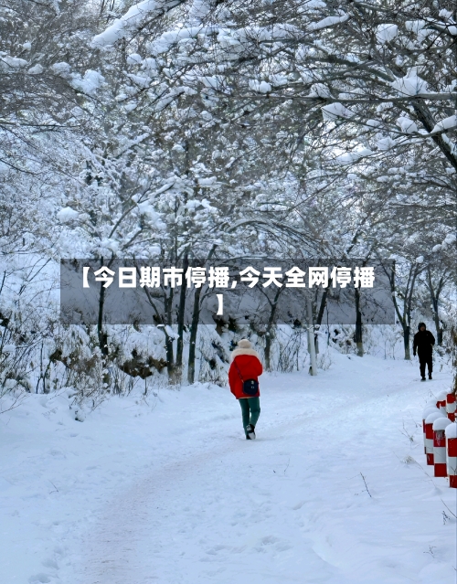 【今日期市停播,今天全网停播】-第2张图片