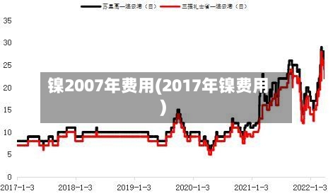 镍2007年费用(2017年镍费用)
