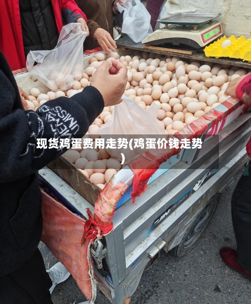 现货鸡蛋费用走势(鸡蛋价钱走势)