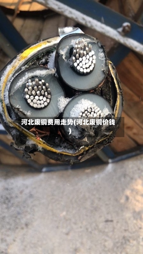 河北废铜费用走势(河北废铜价钱)-第2张图片