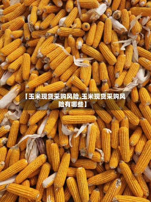 【玉米现货采购风险,玉米现货采购风险有哪些】