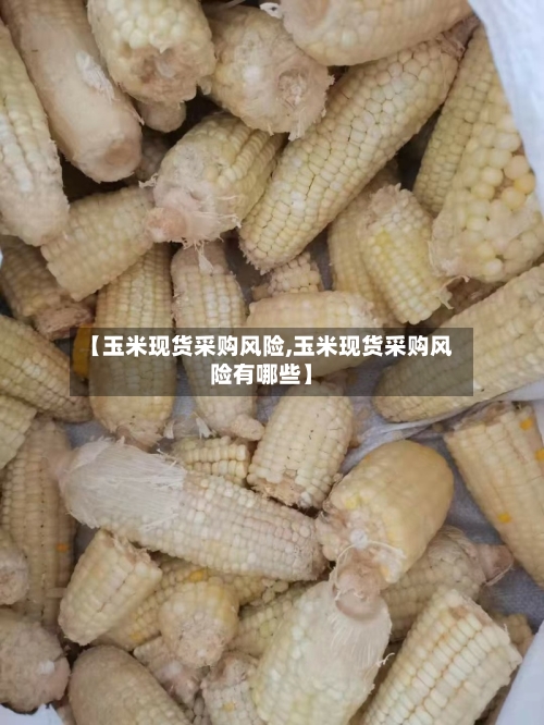 【玉米现货采购风险,玉米现货采购风险有哪些】-第2张图片