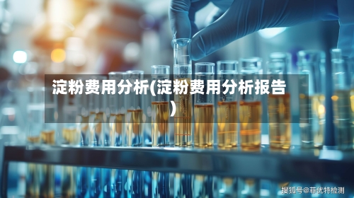 淀粉费用分析(淀粉费用分析报告)-第2张图片