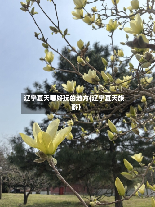 辽宁夏天哪好玩的地方(辽宁夏天旅游)-第3张图片