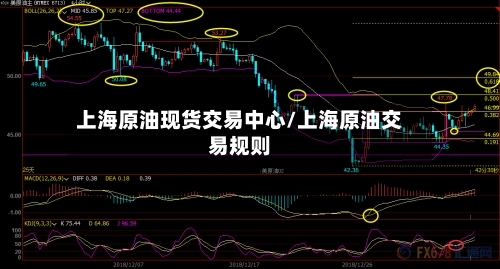 上海原油现货交易中心/上海原油交易规则-第2张图片