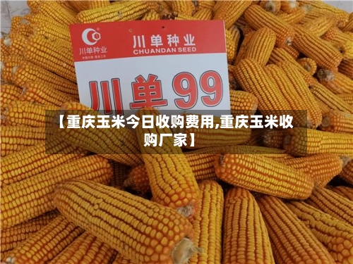 【重庆玉米今日收购费用,重庆玉米收购厂家】-第2张图片