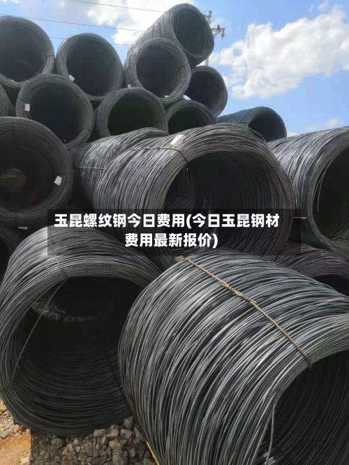 玉昆螺纹钢今日费用(今日玉昆钢材费用最新报价)