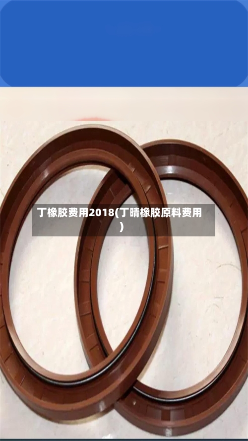 丁橡胶费用2018(丁晴橡胶原料费用)-第2张图片