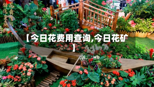 【今日花费用查询,今日花矿】