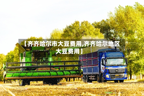 【齐齐哈尔市大豆费用,齐齐哈尔地区大豆费用】