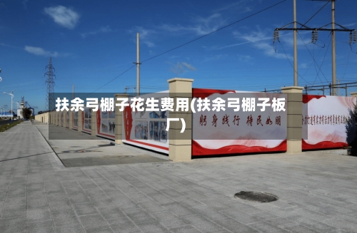 扶余弓棚子花生费用(扶余弓棚子板厂)