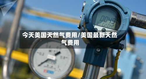 今天美国天然气费用/美国最新天然气费用
