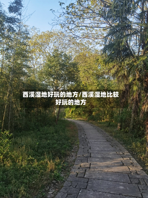 西溪湿地好玩的地方/西溪湿地比较好玩的地方