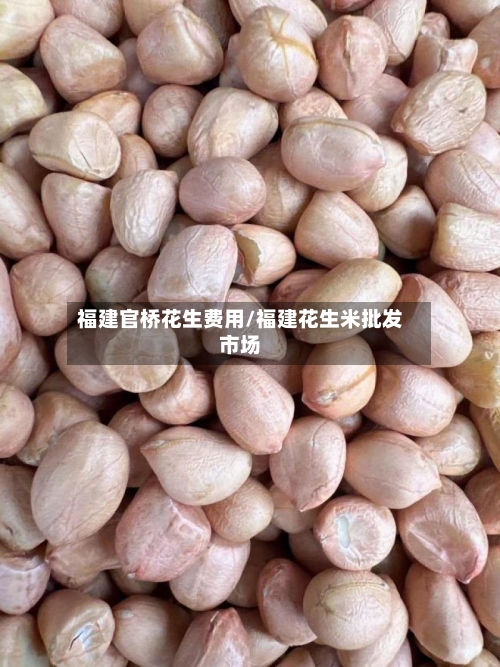 福建官桥花生费用/福建花生米批发市场
