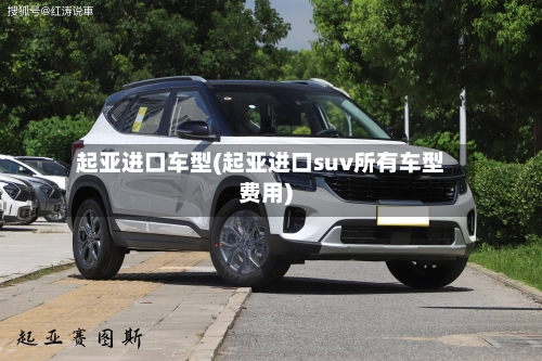 起亚进口车型(起亚进口suv所有车型费用)