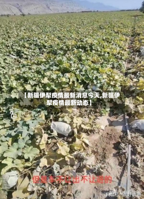 【新疆伊犁疫情最新消息今天,新疆伊犁疫情最新动态】