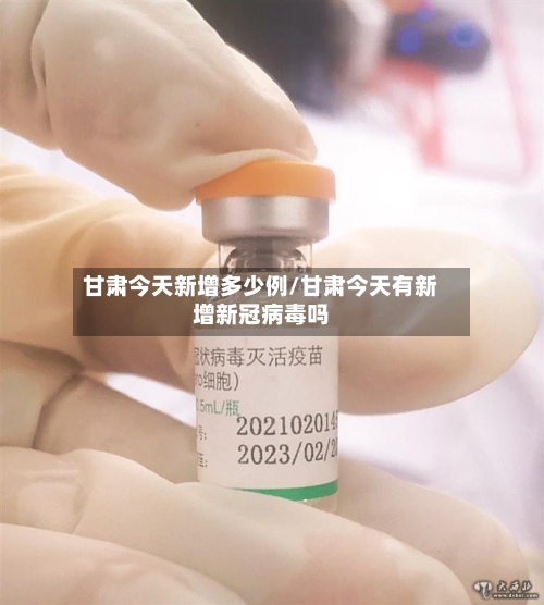 甘肃今天新增多少例/甘肃今天有新增新冠病毒吗-第3张图片