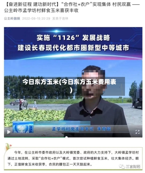 今日东方玉米(今日东方玉米费用表)-第3张图片