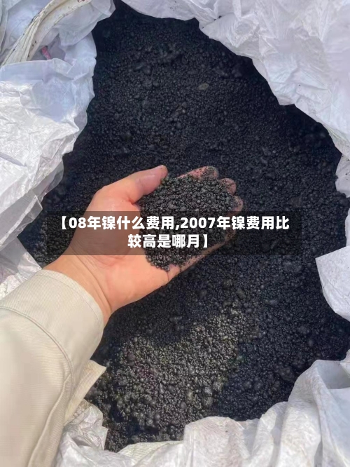 【08年镍什么费用,2007年镍费用比较高是哪月】